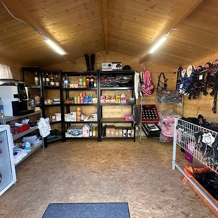 Fewo Im Reit- Und Ponyparadies Roos Halle  Εξωτερικό φωτογραφία