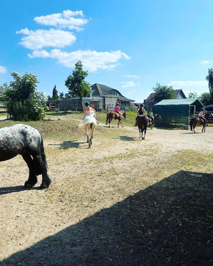 Fewo Im Reit- Und Ponyparadies Roos Halle  Εξωτερικό φωτογραφία