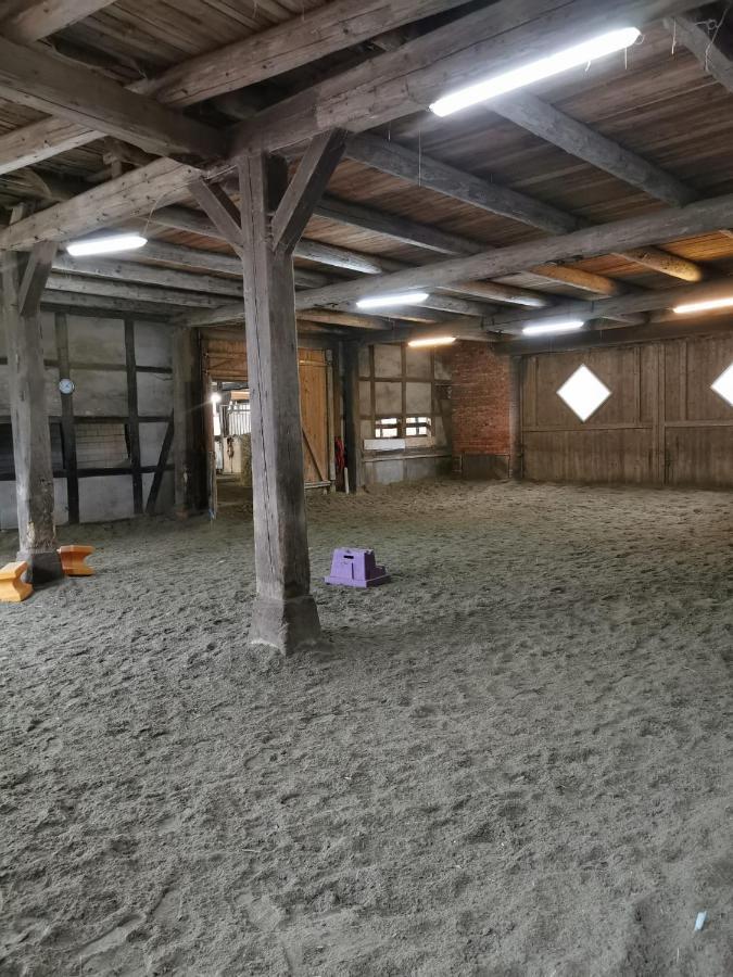 Fewo Im Reit- Und Ponyparadies Roos Halle  Εξωτερικό φωτογραφία
